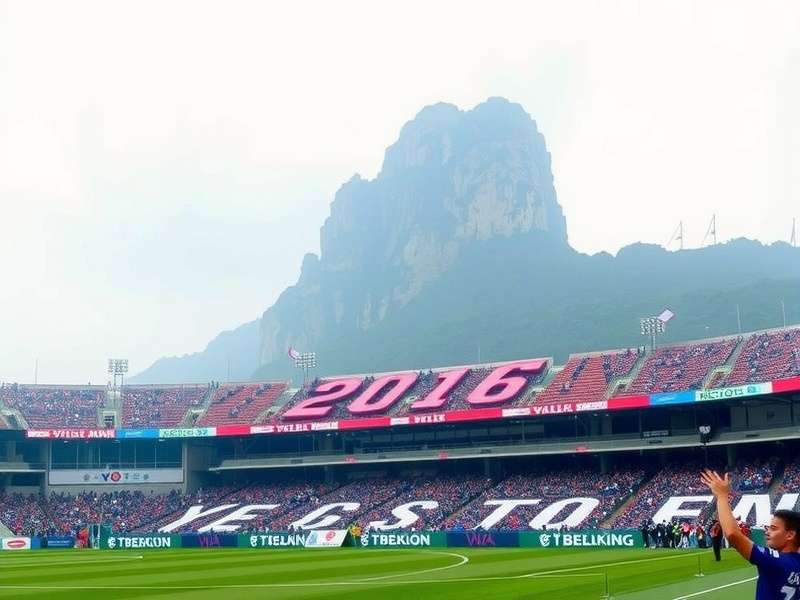 韩国队比赛瞬间